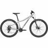 VTT Cannondale Trail 8 Femme Sage Grey -Vélos Soldes colnac8kg1wdaihm0epi 700x700 1
