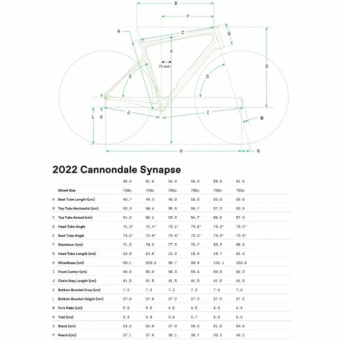 Vélo Route Cannondale Synapse Carbon 2 RLE Grey 9 Vélo Route Cannondale Synapse Carbon 2 RLE Grey – Image 7